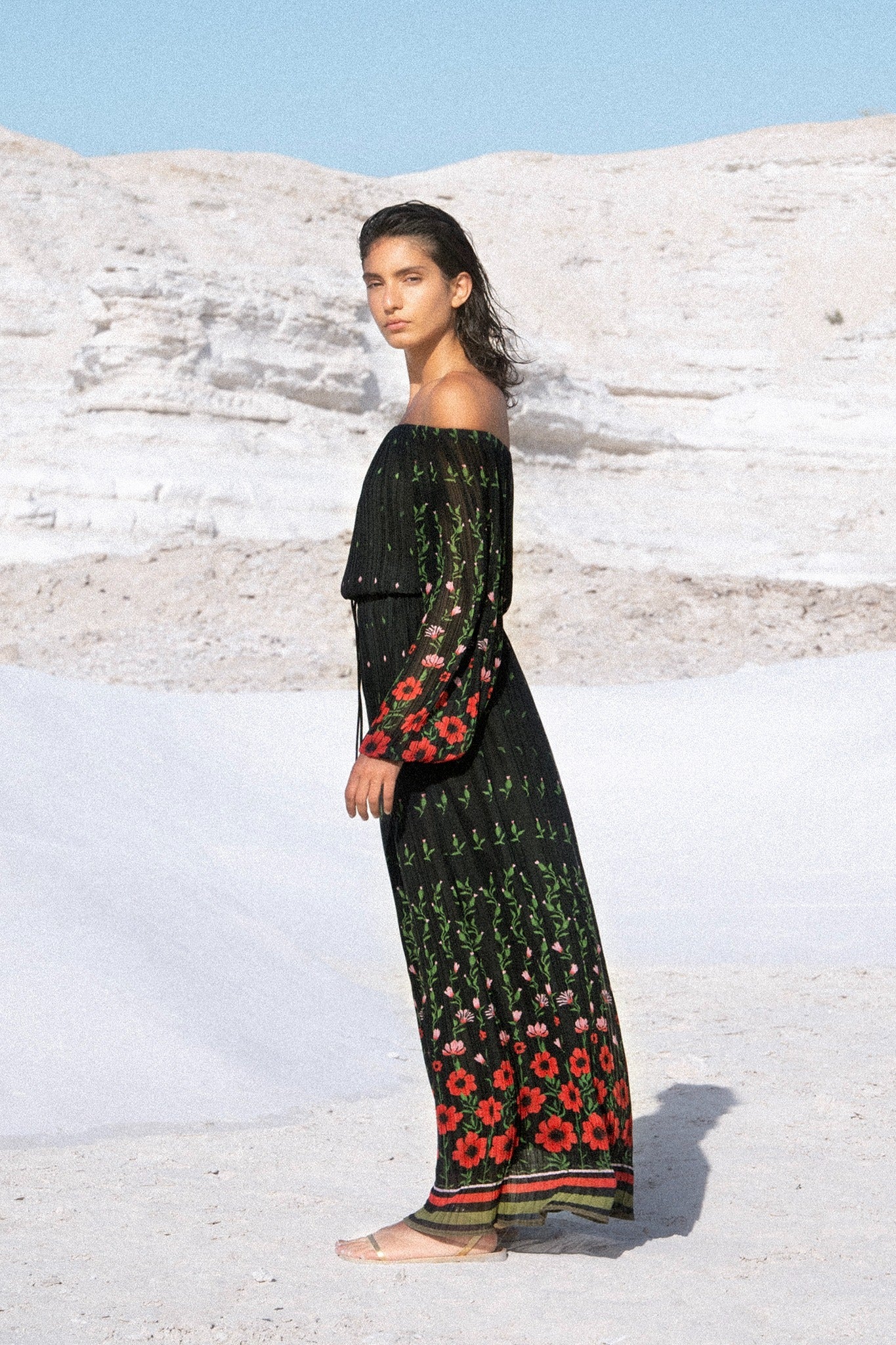 SABINA MUSAYEV - poppy_garden_print_black_print_summer_24