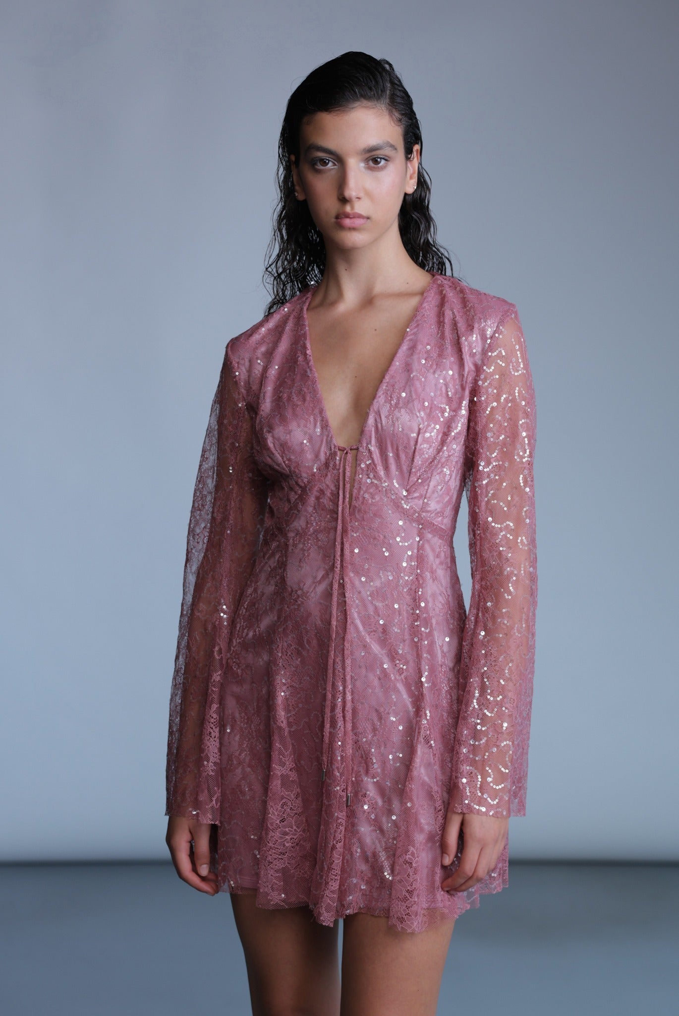 SABINA MUSAYEV - sequined_lace_dusty_rose_pre_fall_24_25