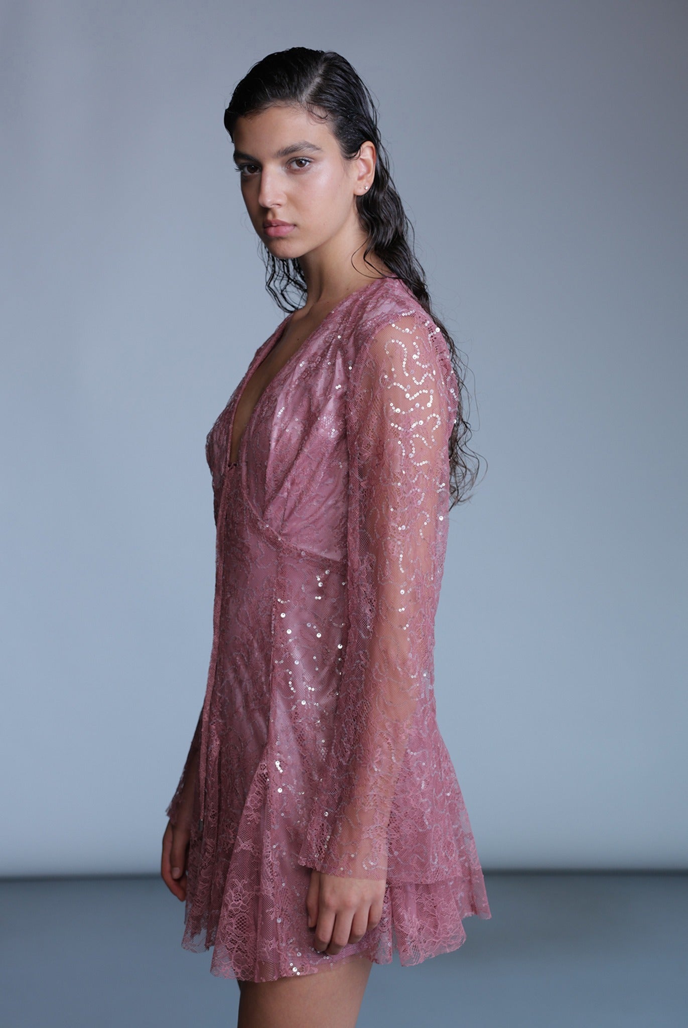 SABINA MUSAYEV - sequined_lace_dusty_rose_pre_fall_24_25