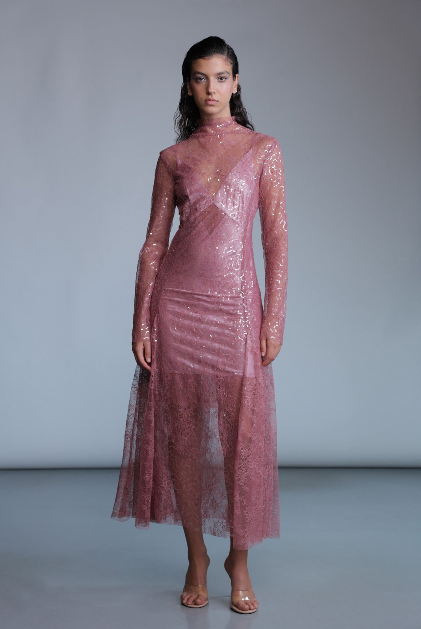 SABINA MUSAYEV - sequined_lace_dusty_rose_pre_fall_24_25