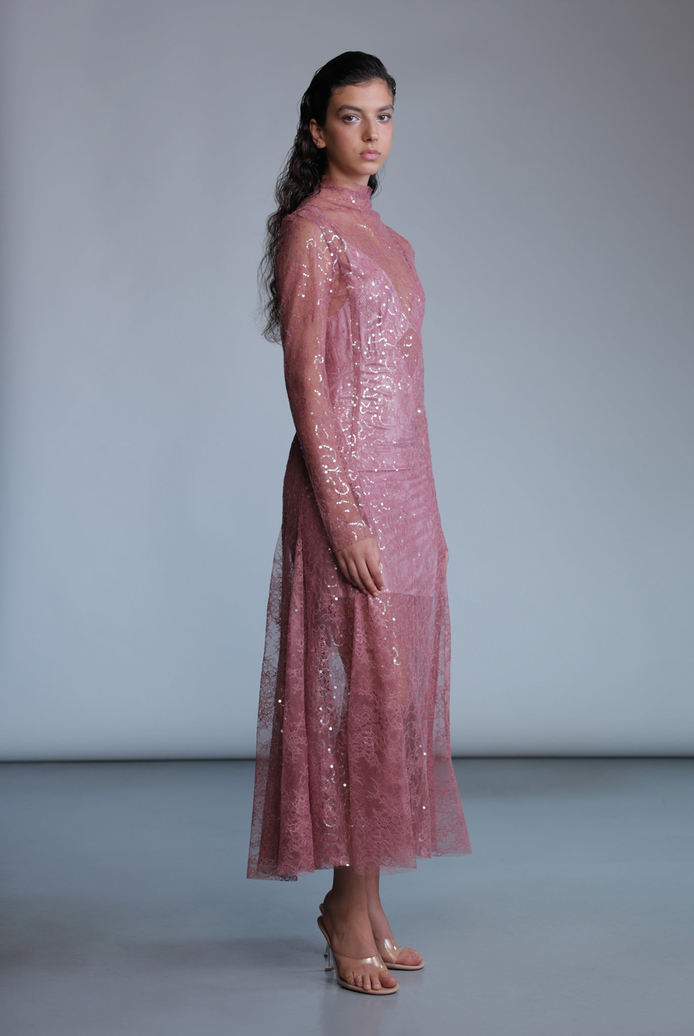 SABINA MUSAYEV - sequined_lace_dusty_rose_pre_fall_24_25