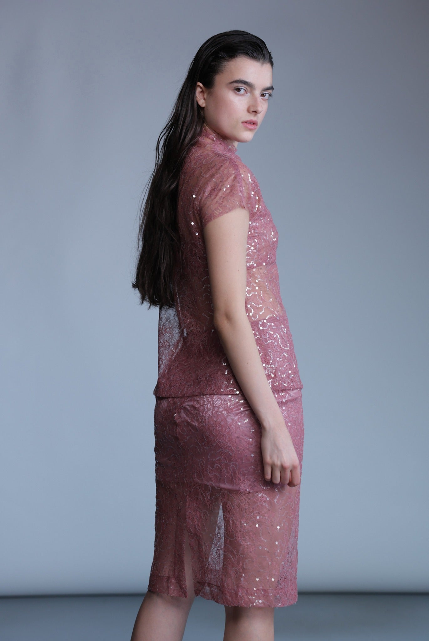 SABINA MUSAYEV - sequined_lace_dusty_rose_pre_fall_24_25