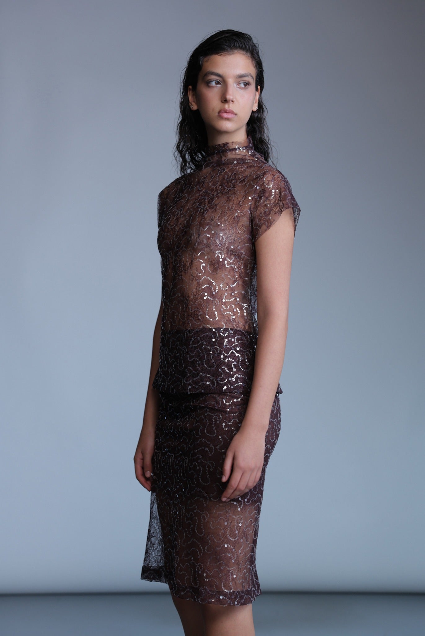 SABINA MUSAYEV - sequined_lace_bitter_chocolate_pre_fall_24_25