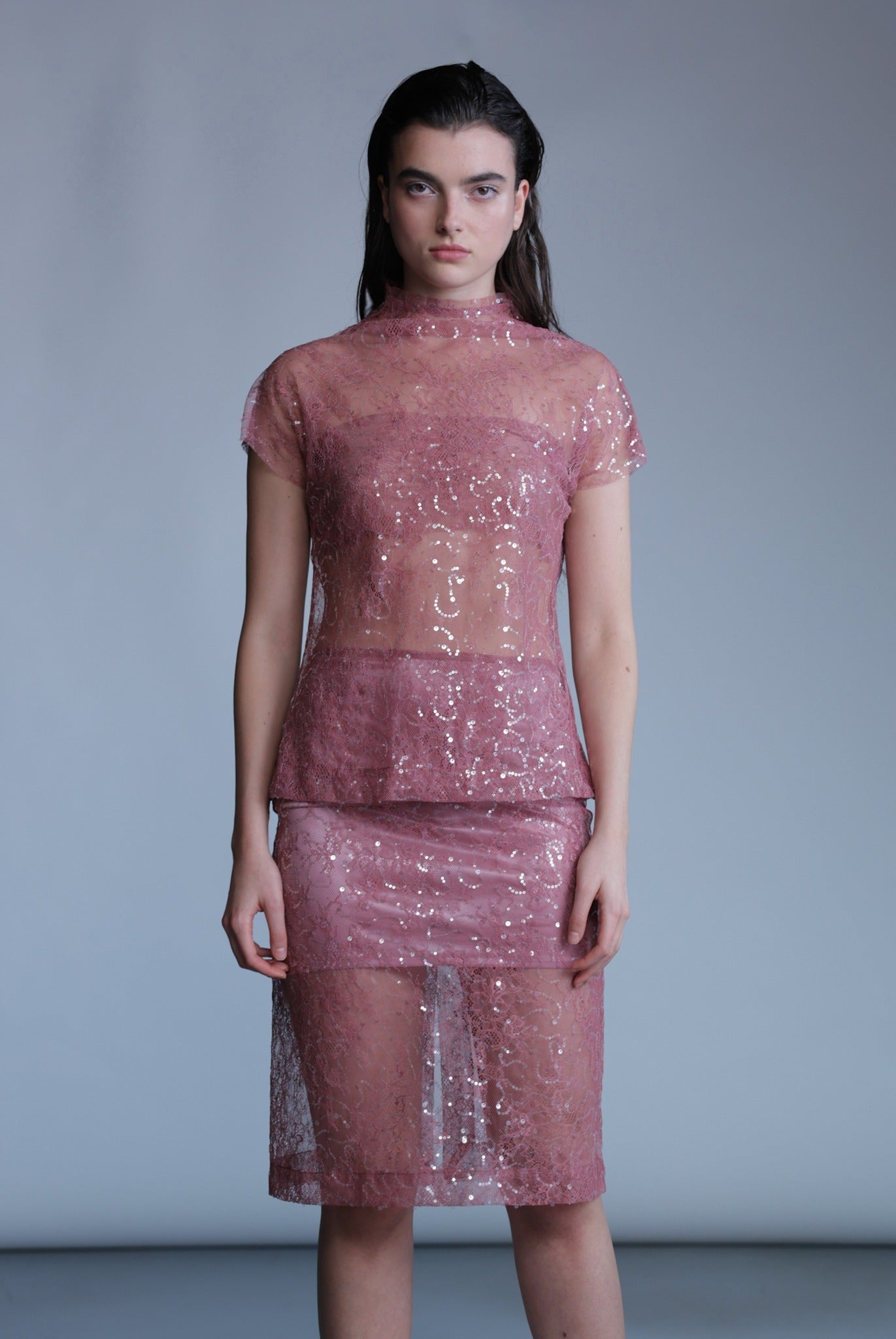 SABINA MUSAYEV - sequined_lace_dusty_rose_pre_fall_24_25