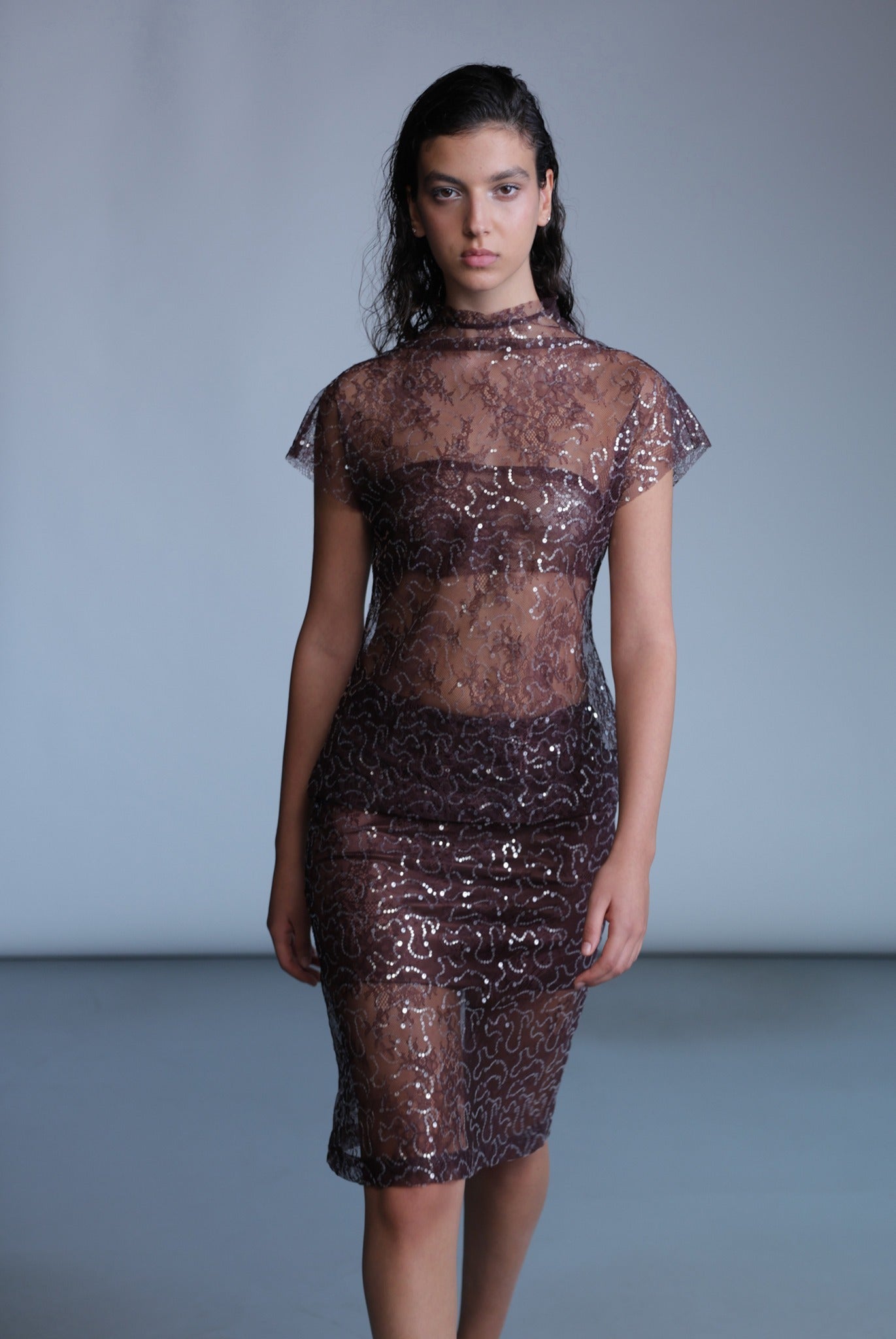 SABINA MUSAYEV - sequined_lace_bitter_chocolate_pre_fall_24_25