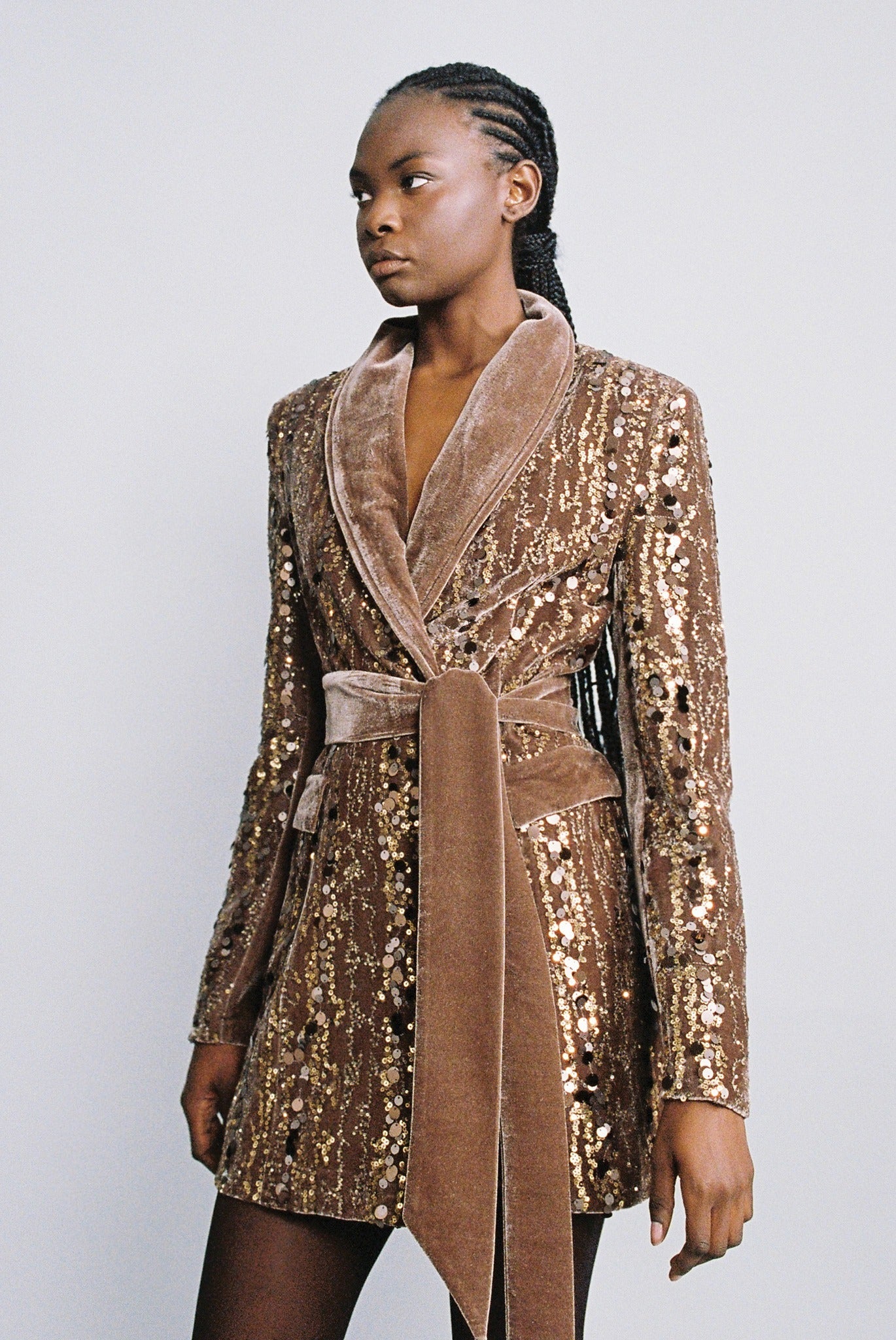 SABINA MUSAYEV - stripe_sequins_on_velvet_brown_fw_24_25